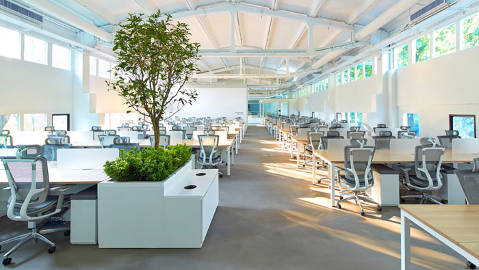 �ؑc�S���b���OӋ